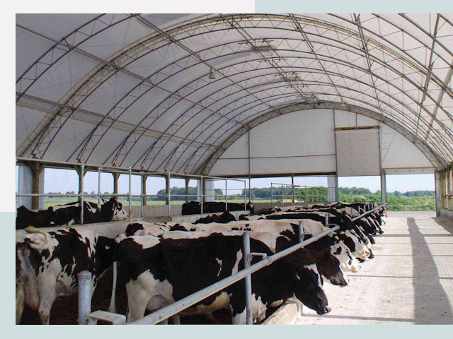 Тентовые коровники в Кимрах